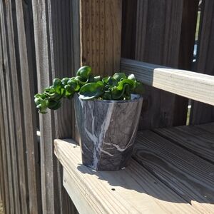 Marbled Modern Ceramic Pottery 5" Planter